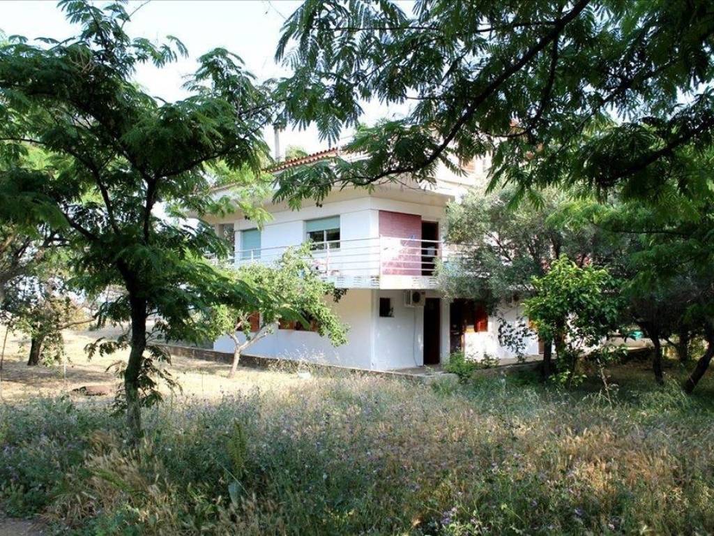 Hotel - Grekodom 56992|811959