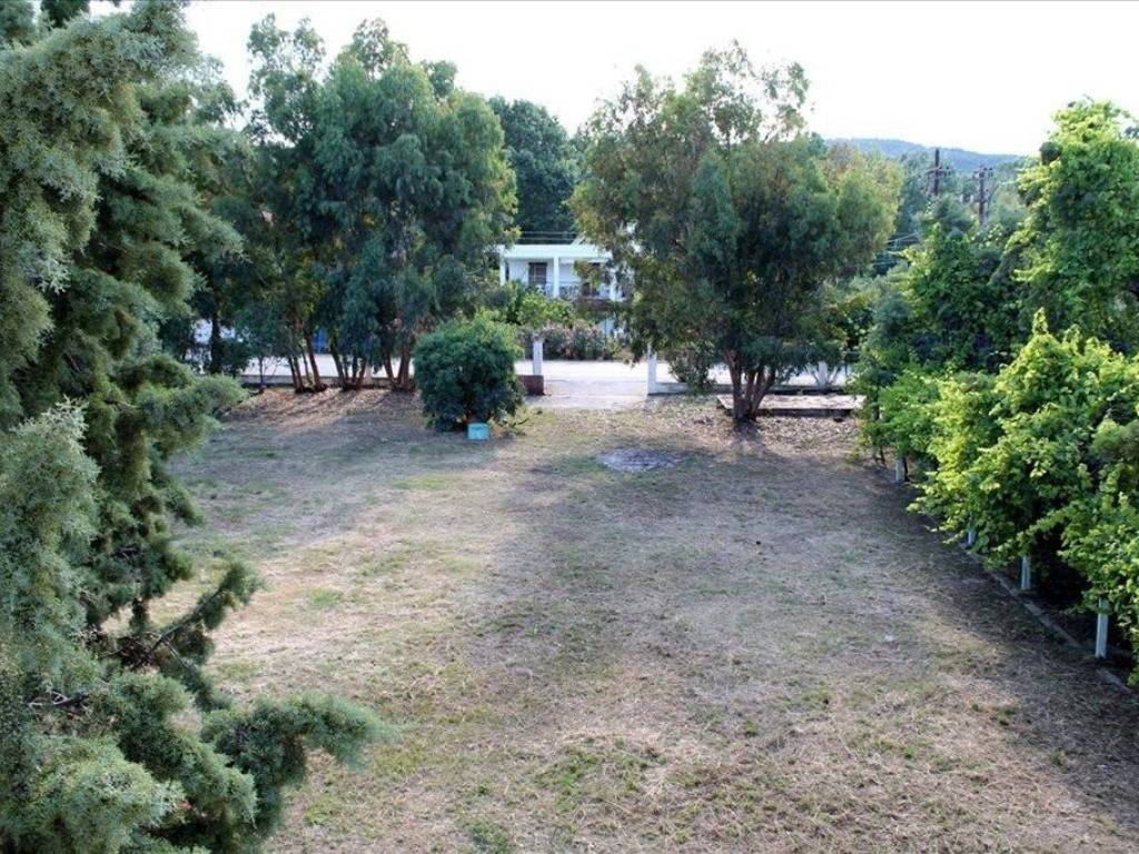 Hotel - Grekodom 56992|811945