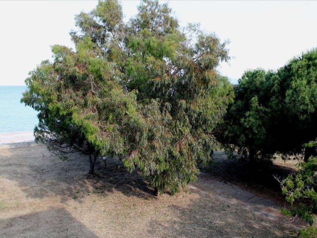 Hotel - Grekodom 56992|811949