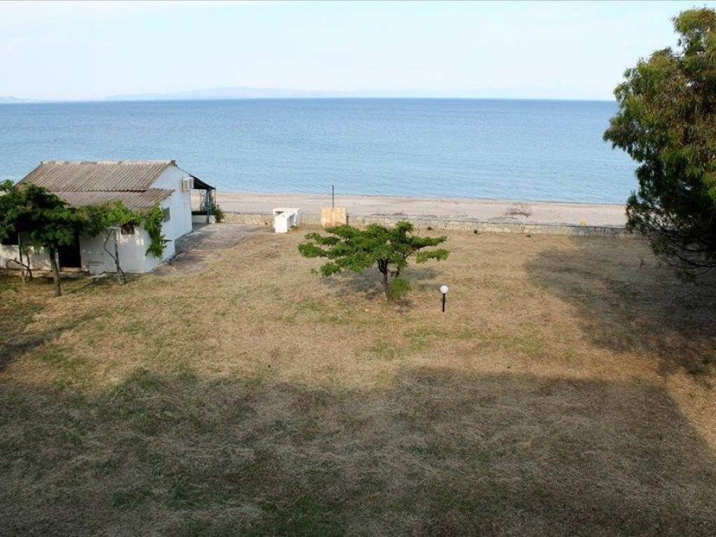 Hotel - Grekodom 56992|811950