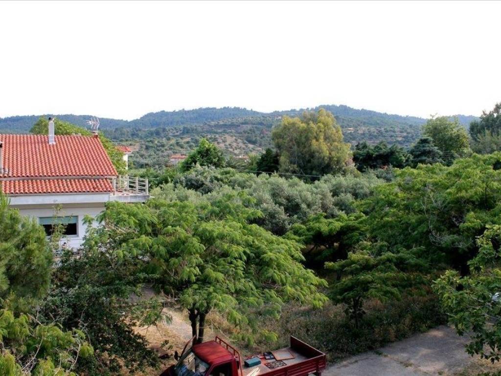 Hotel - Grekodom 56992|811951