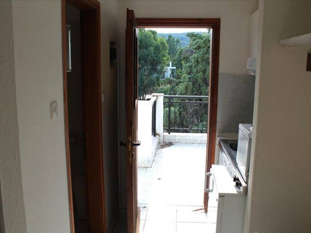 Hotel - Grekodom 56992|811955