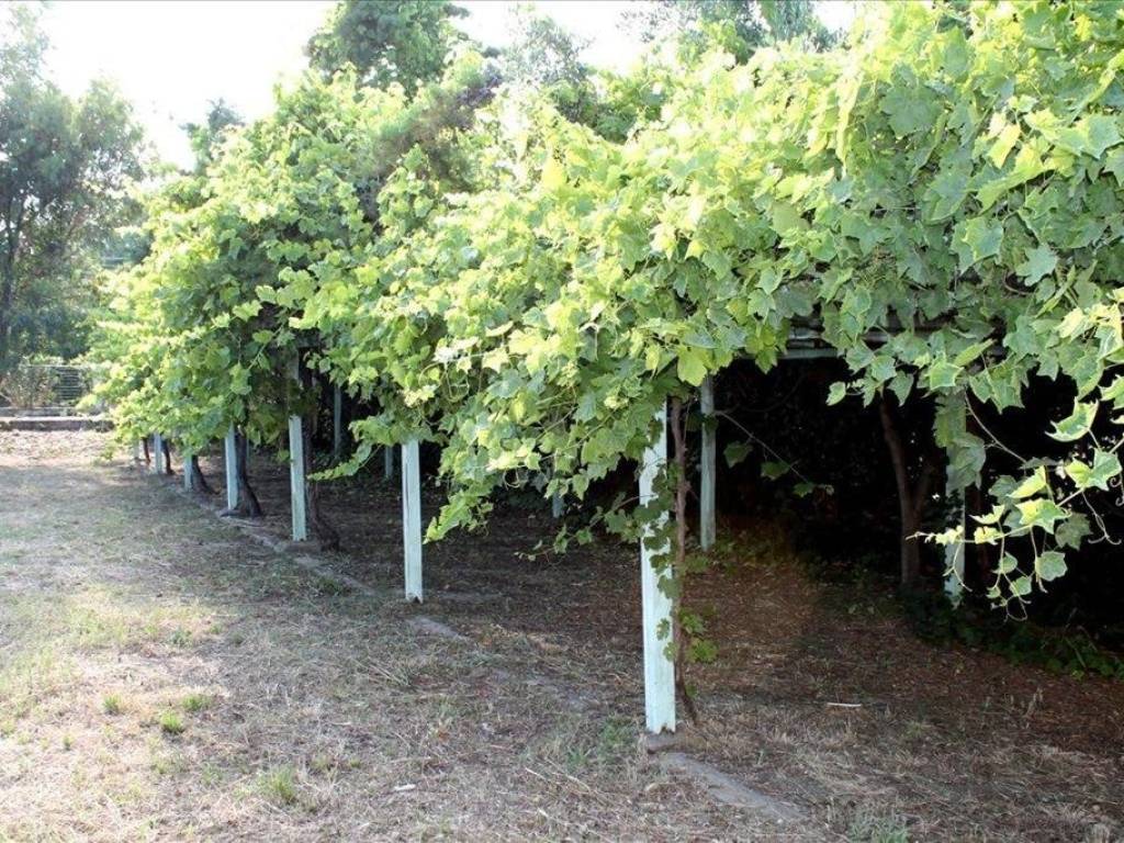 Hotel - Grekodom 56992|811960