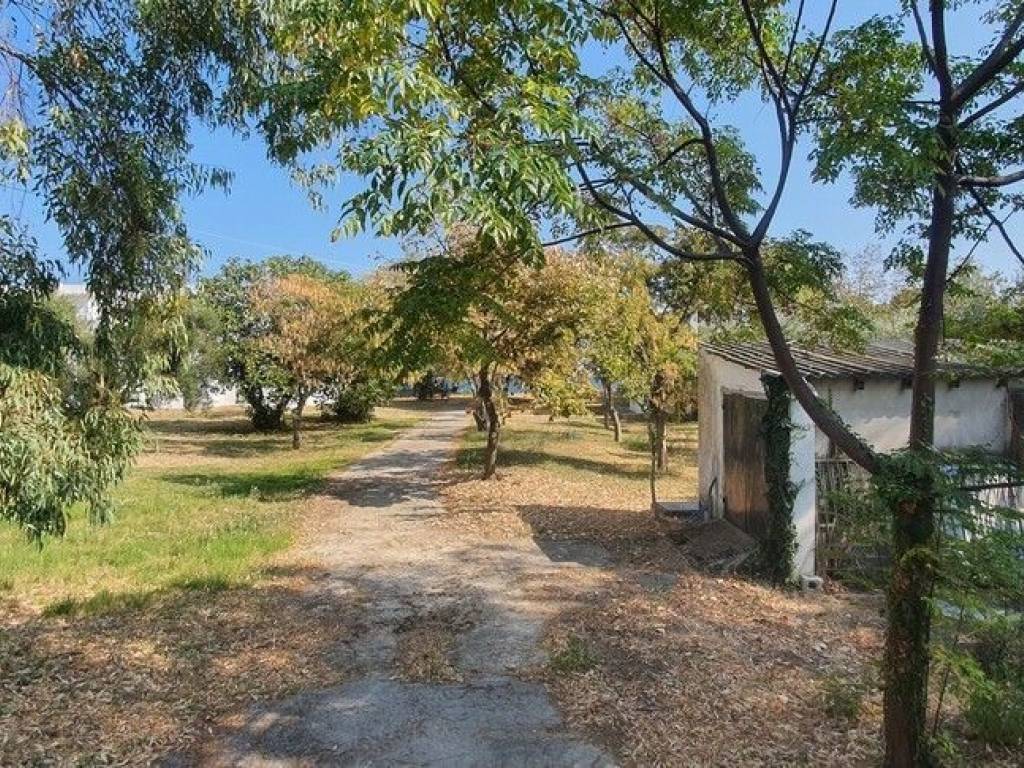 Hotel - Grekodom 56992|811965