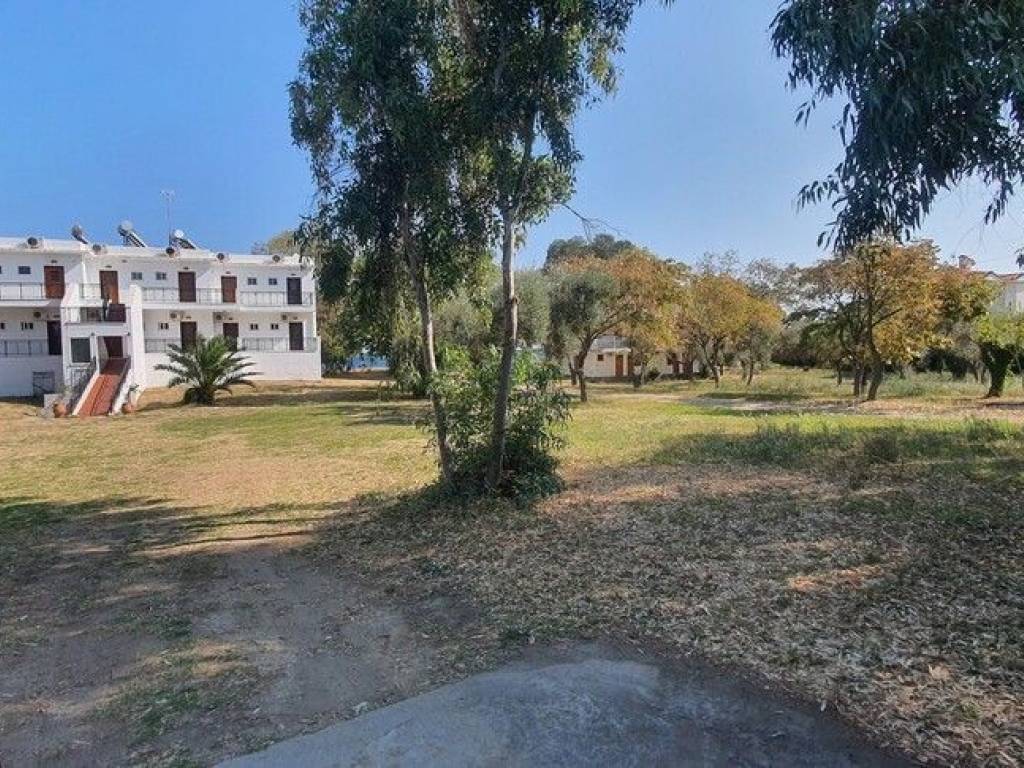 Hotel - Grekodom 56992|811966