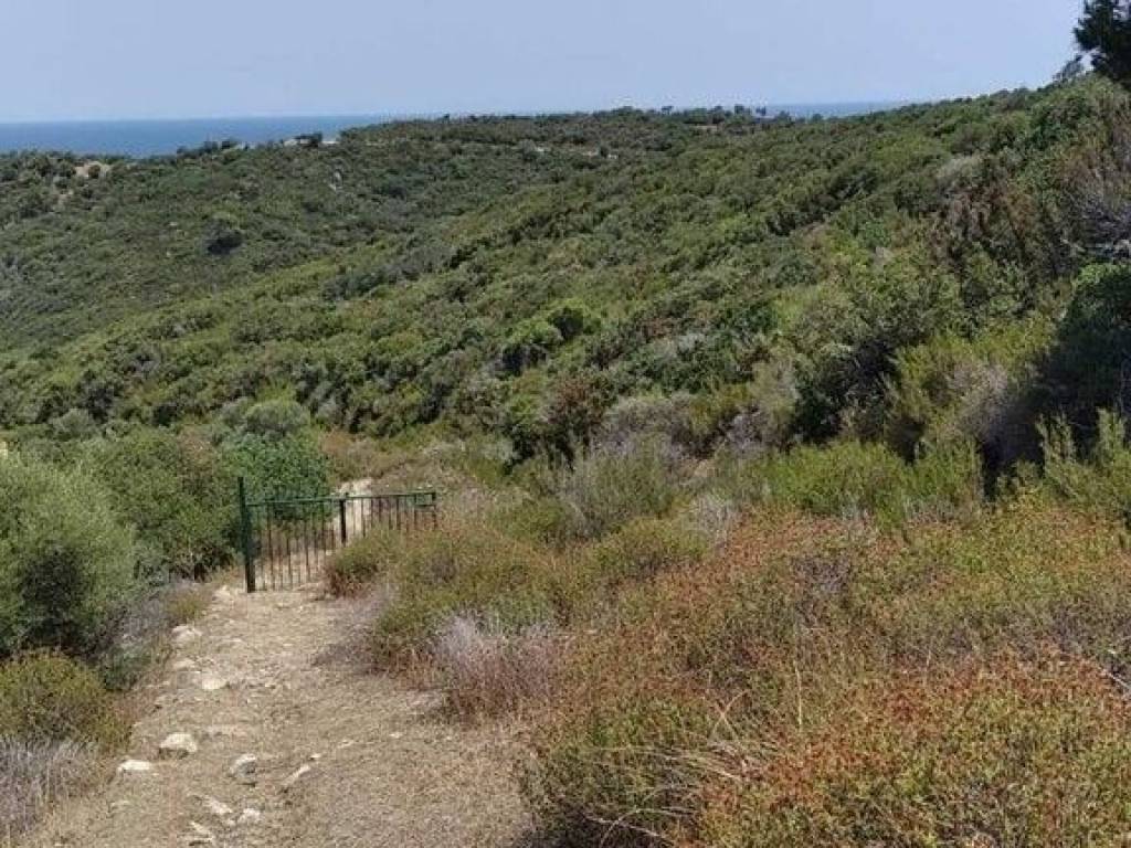 Plot - Grekodom 56759|808243