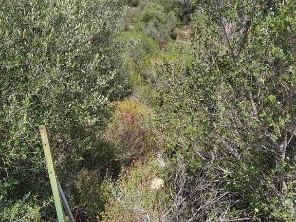 Plot - Grekodom 56759|808246