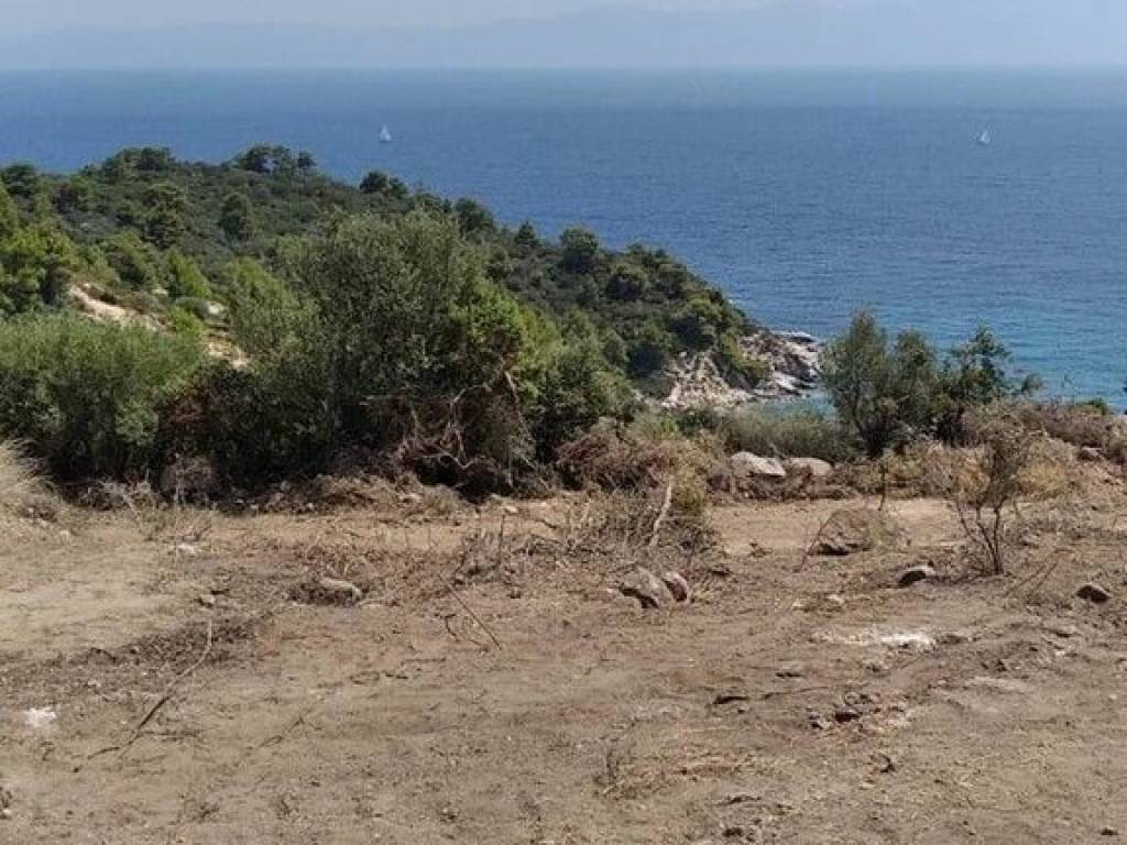 Plot - Grekodom 56759|808248