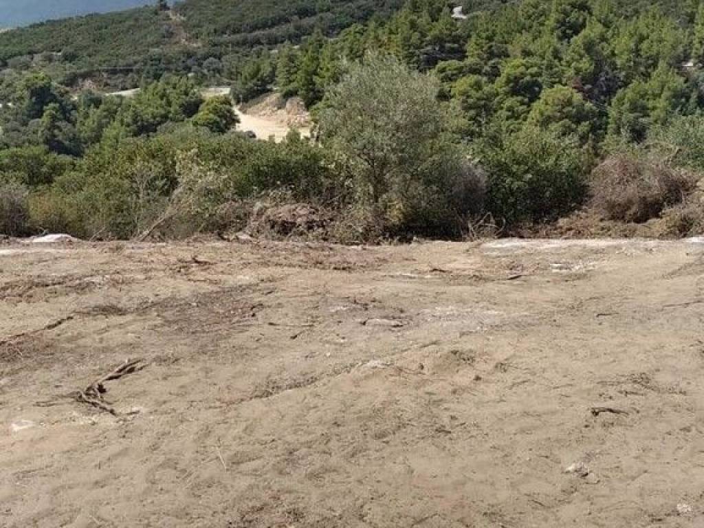 Plot - Grekodom 56759|808250