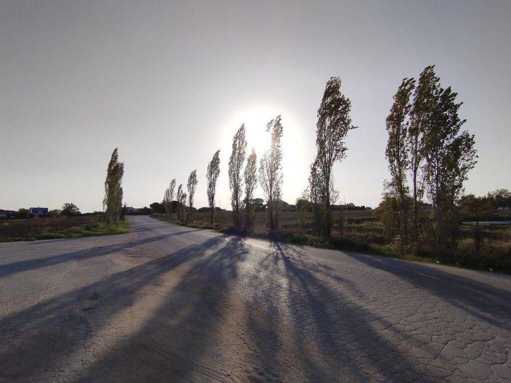 Plot - Grekodom 56658|806146