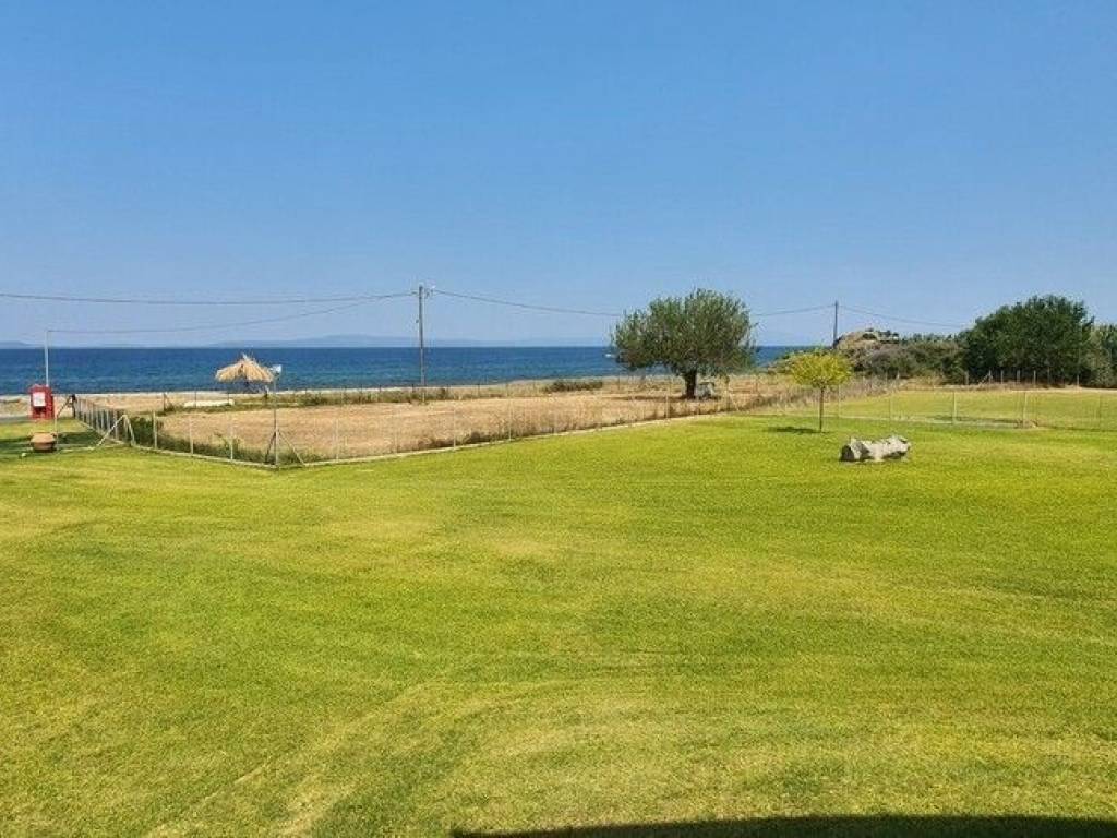 Detached - Grekodom 56353|800292