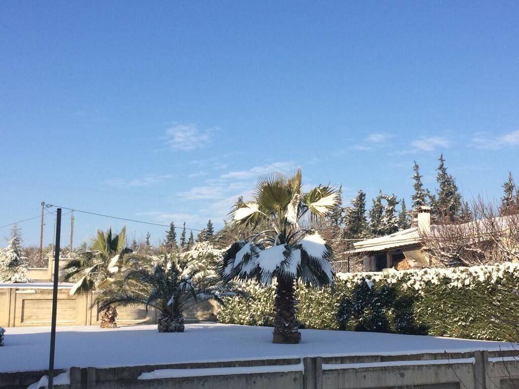 Villa - Grekodom 56309|799430