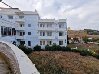 Hotel - Grekodom 52976|776920