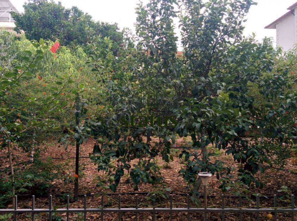 Δενδρόκηπος