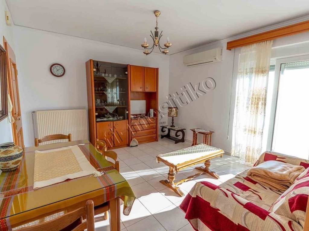 Σαλοκουζίνα