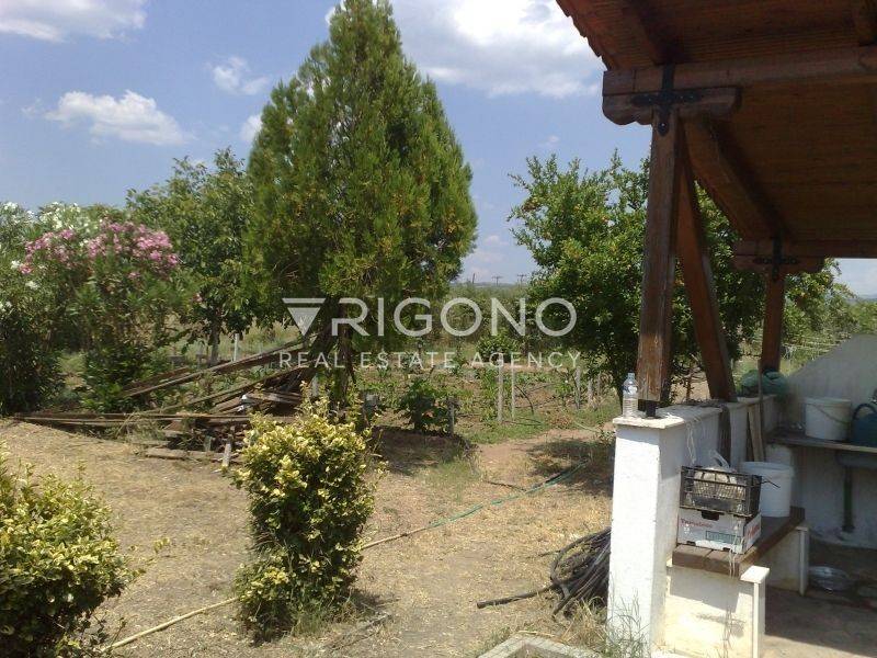 Άποψη χώρου