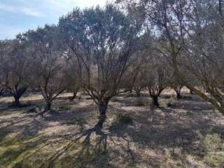 Plot - Grekodom 52552|771383