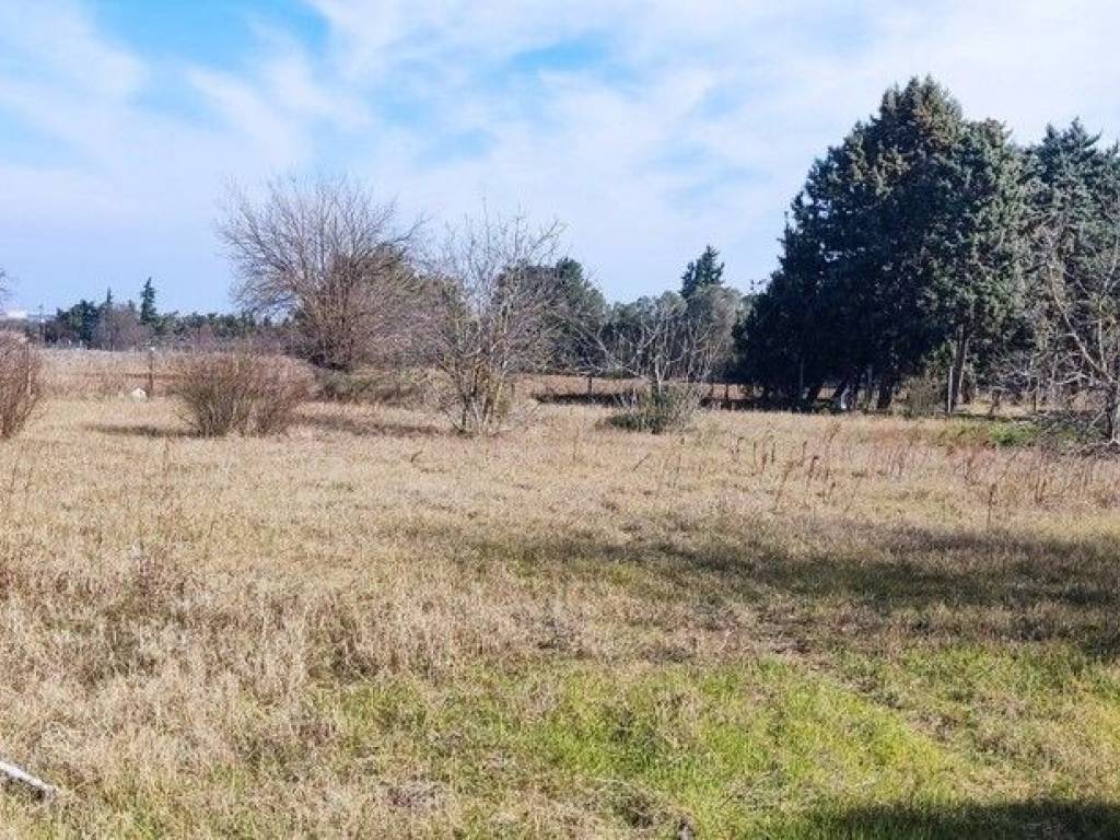 Plot - Grekodom 52552|771385