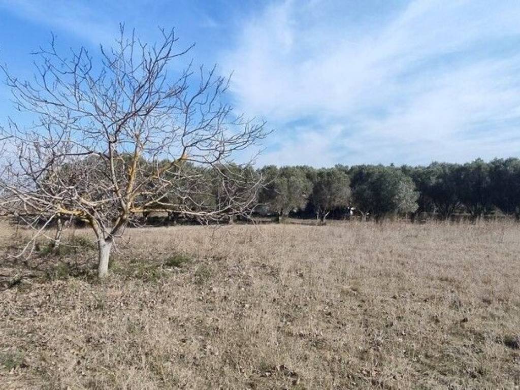 Plot - Grekodom 52552|771386