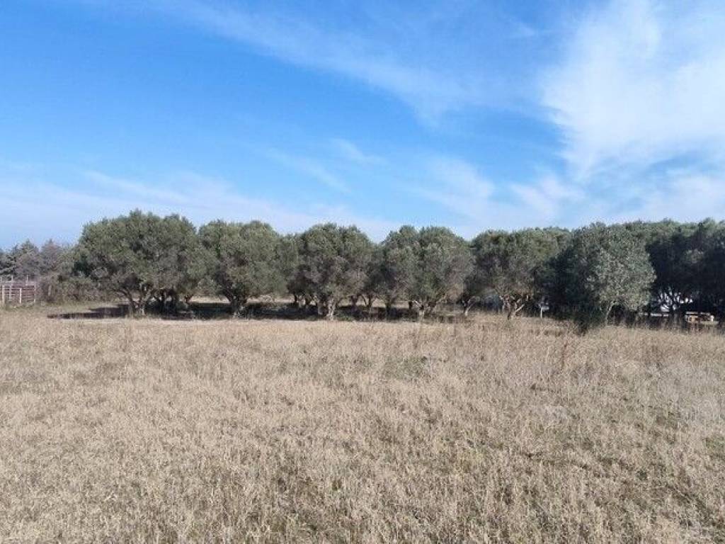 Plot - Grekodom 52552|771387