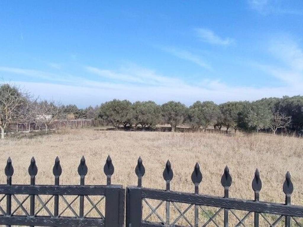 Plot - Grekodom 52552|771388