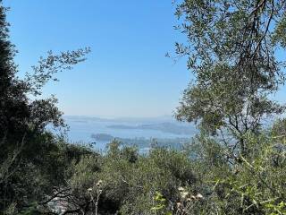 Plot - Grekodom 50542|749448