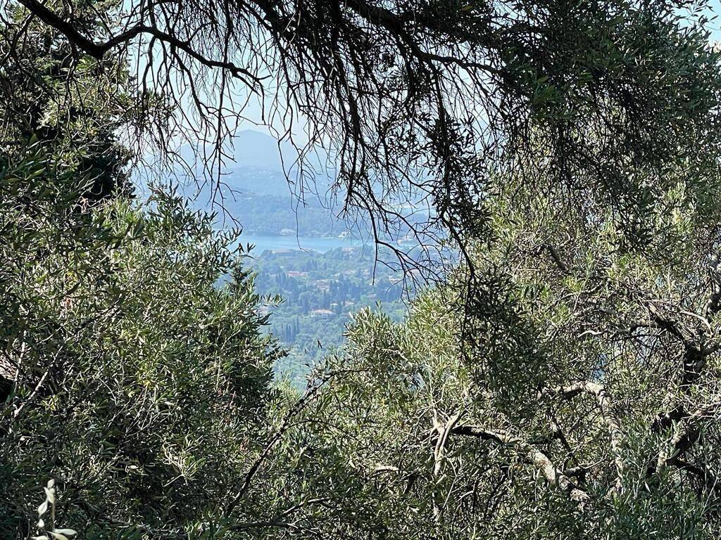 Plot - Grekodom 50542|749456