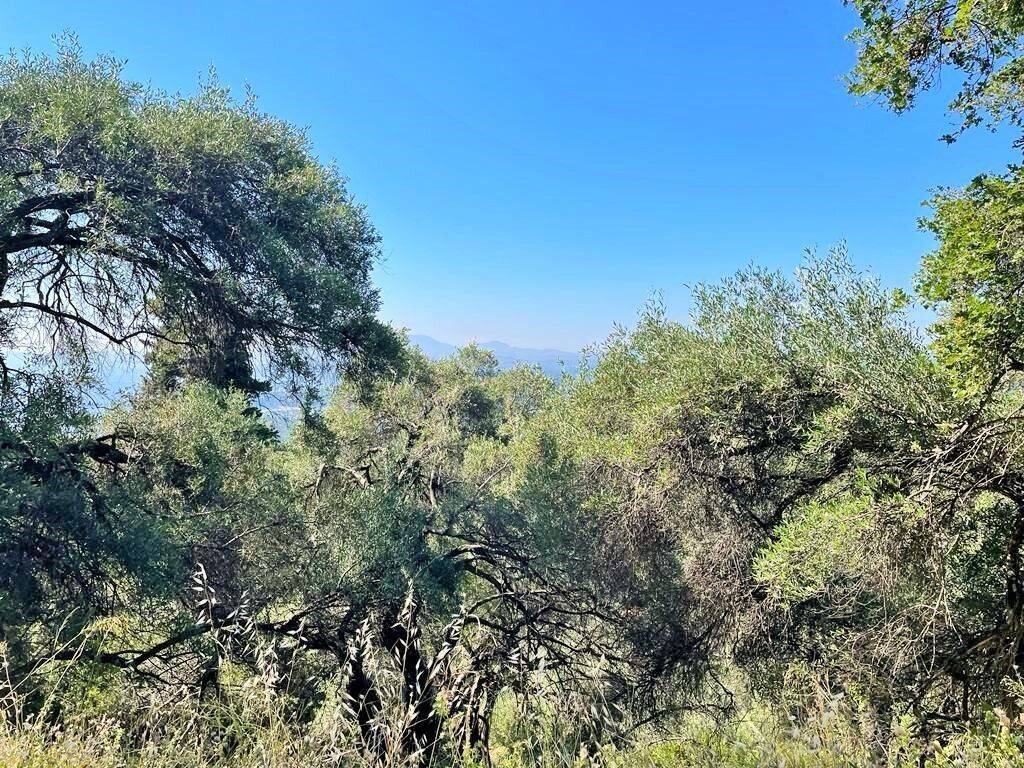 Plot - Grekodom 50542|749457