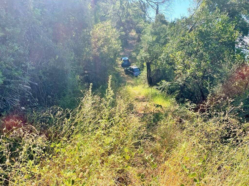 Plot - Grekodom 50542|749458