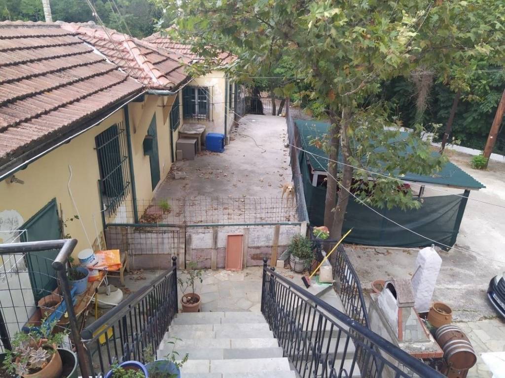 Building - Grekodom 50957|752575