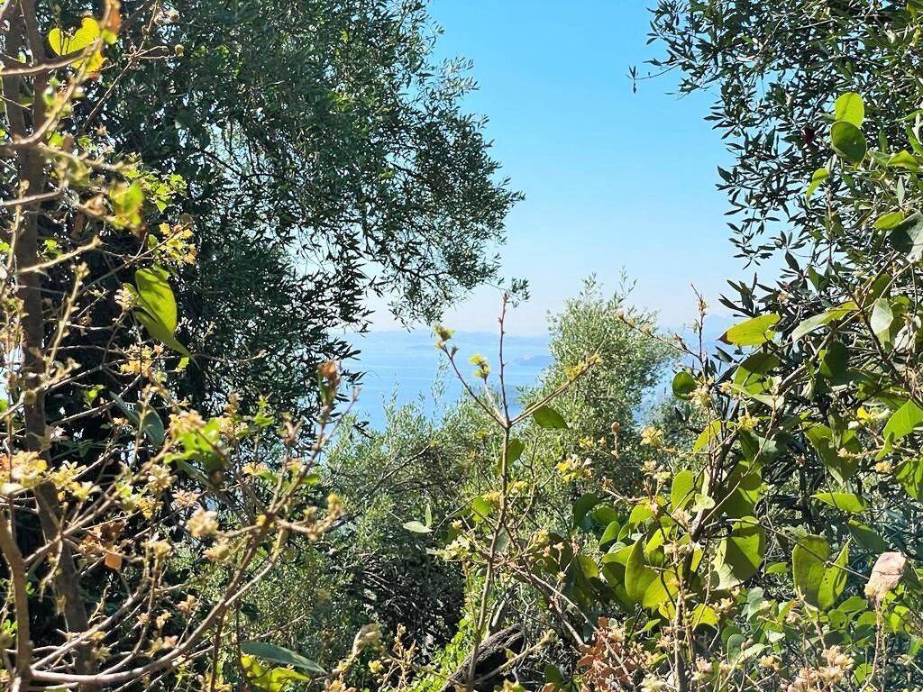 Plot - Grekodom 50542|749459