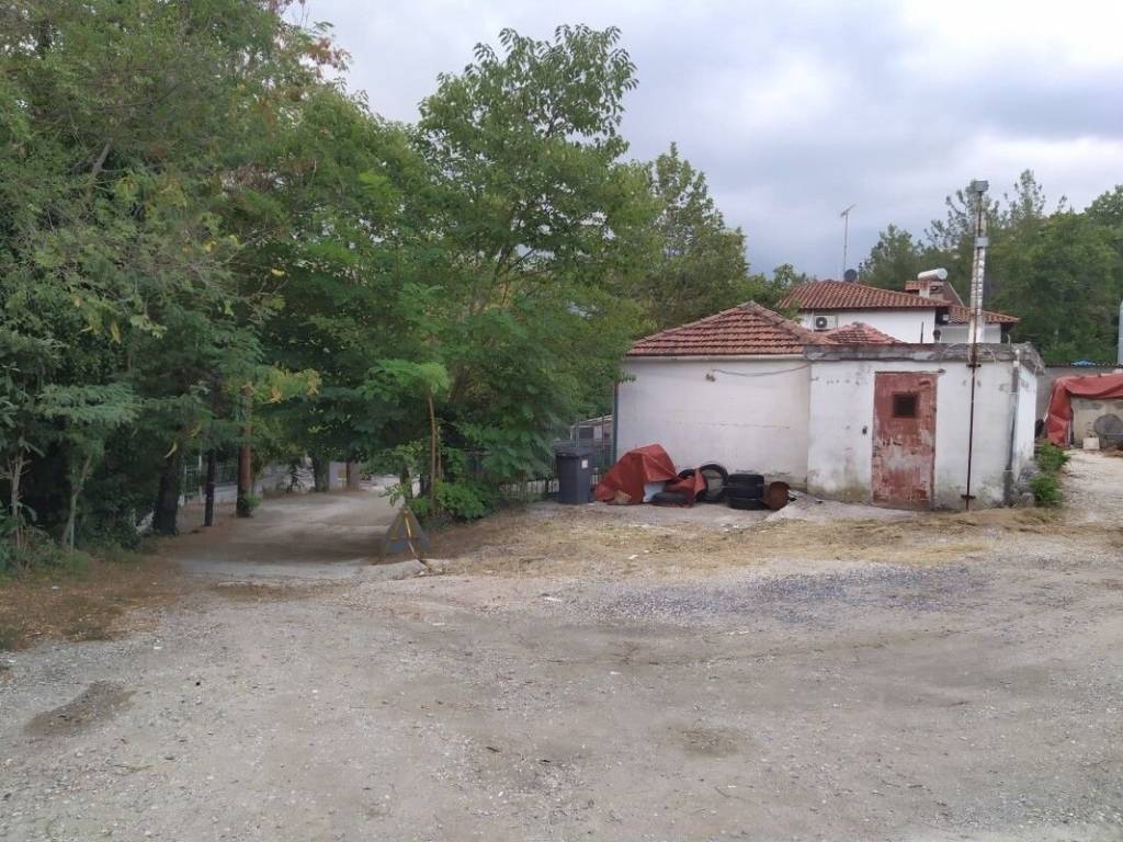 Building - Grekodom 50957|752576