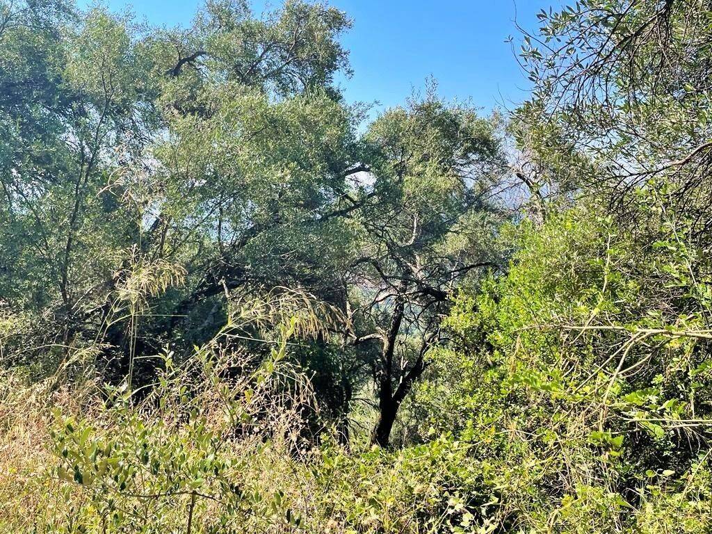 Plot - Grekodom 50542|749460