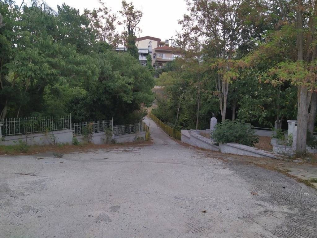 Building - Grekodom 50957|752577