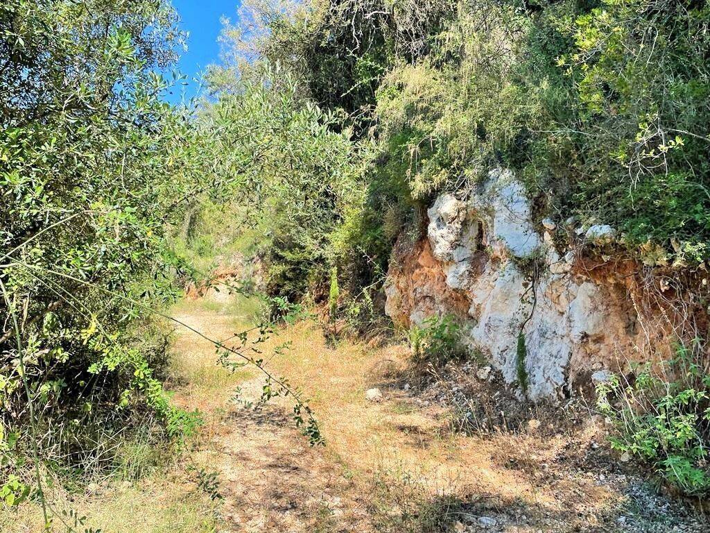 Plot - Grekodom 50542|749461