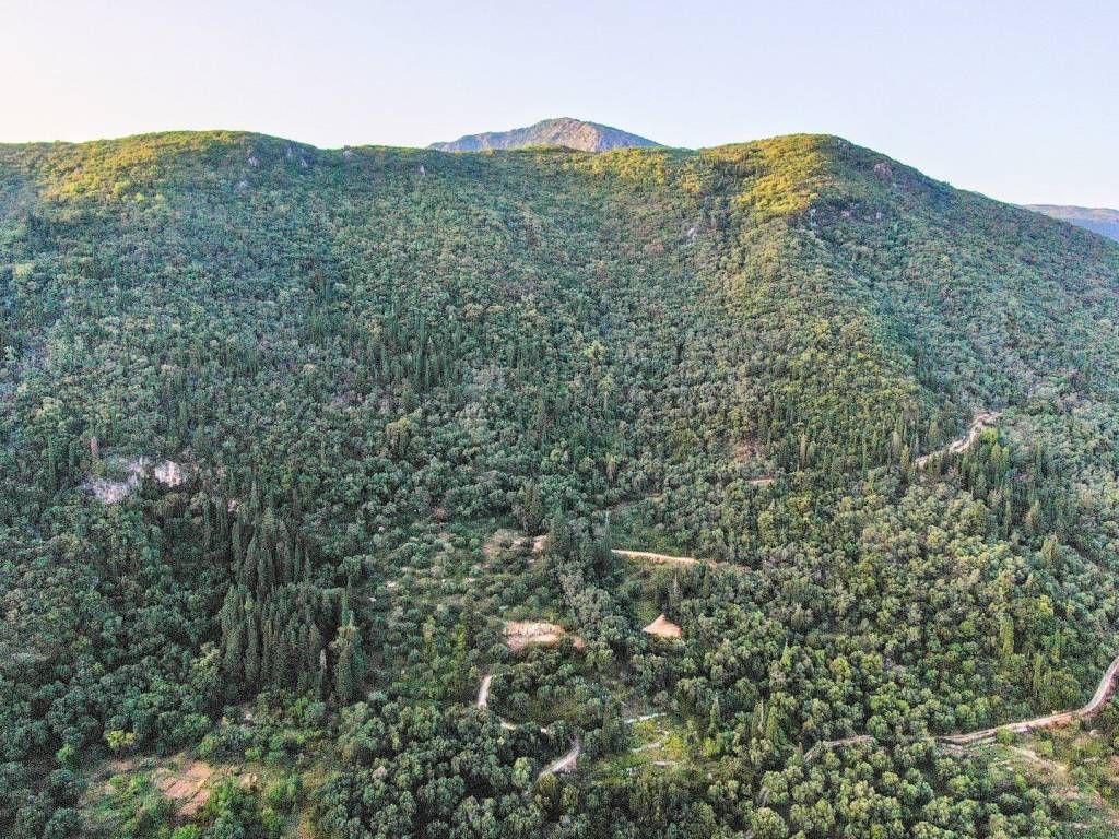 Plot - Grekodom 50542|749463