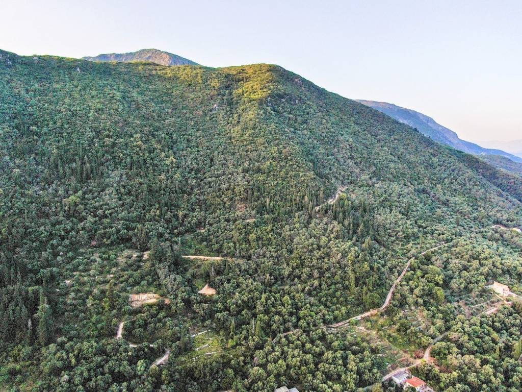 Plot - Grekodom 50542|749464