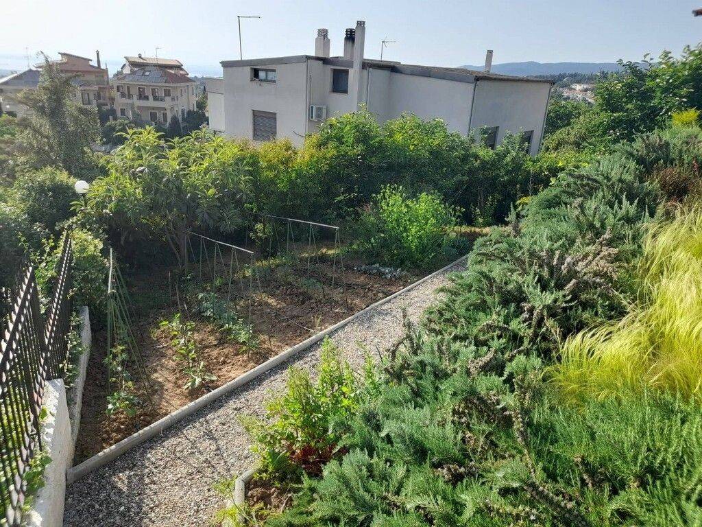 Villa - Grekodom 50331|747364