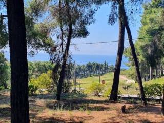 Villa - Grekodom 50186|745284