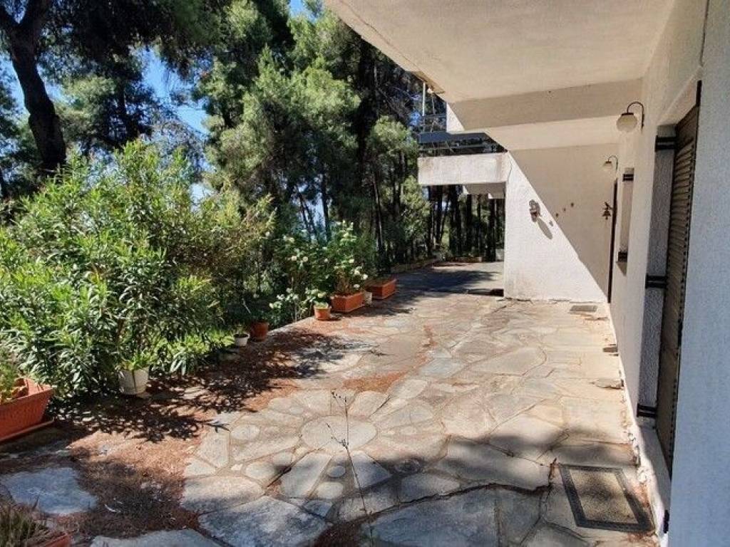 Villa - Grekodom 50186|745274