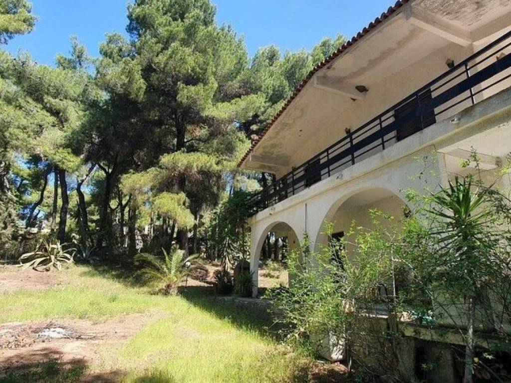 Villa - Grekodom 50186|745277