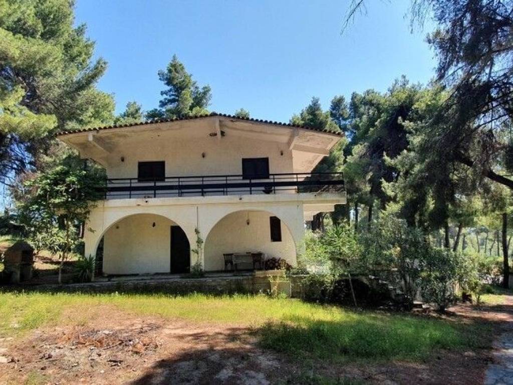 Villa - Grekodom 50186|745279