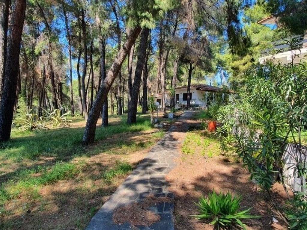 Villa - Grekodom 50186|745276