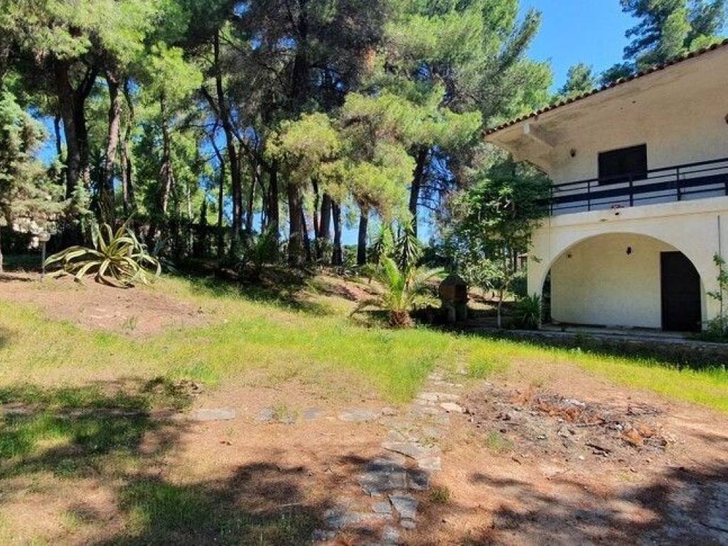 Villa - Grekodom 50186|745278