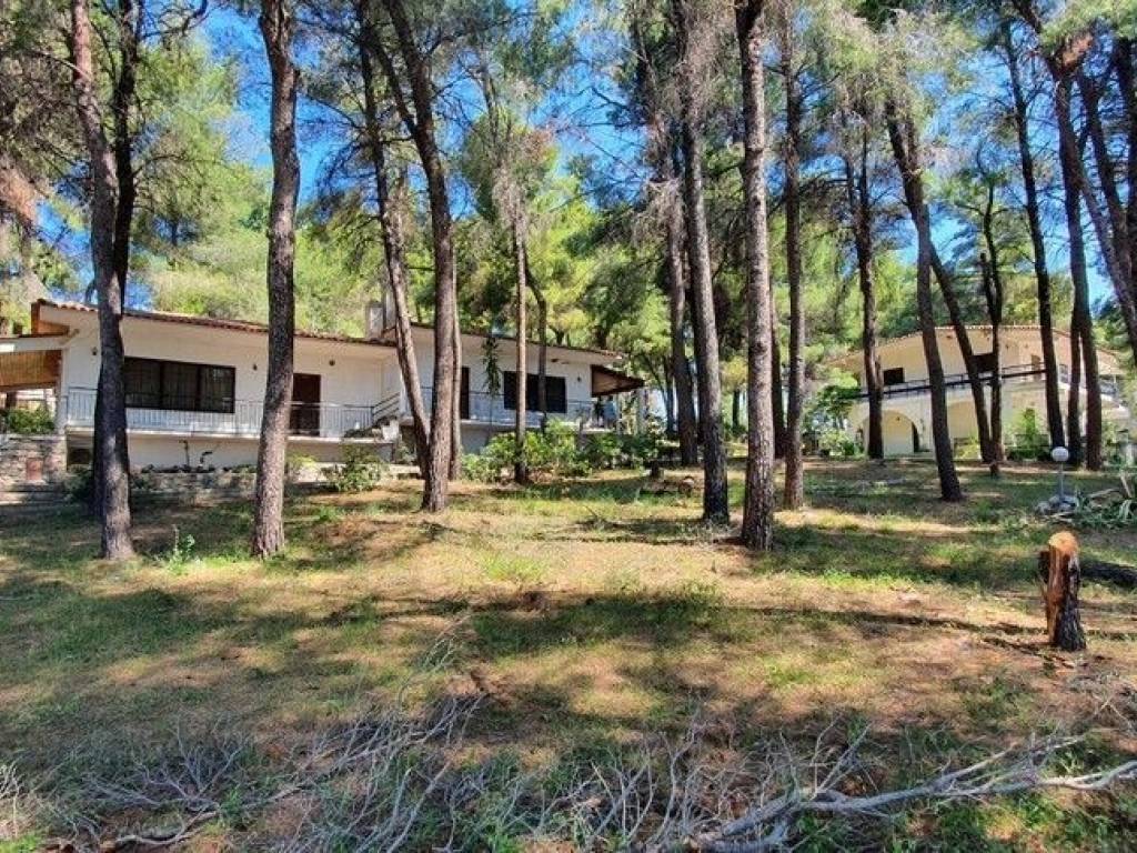 Villa - Grekodom 50186|745287