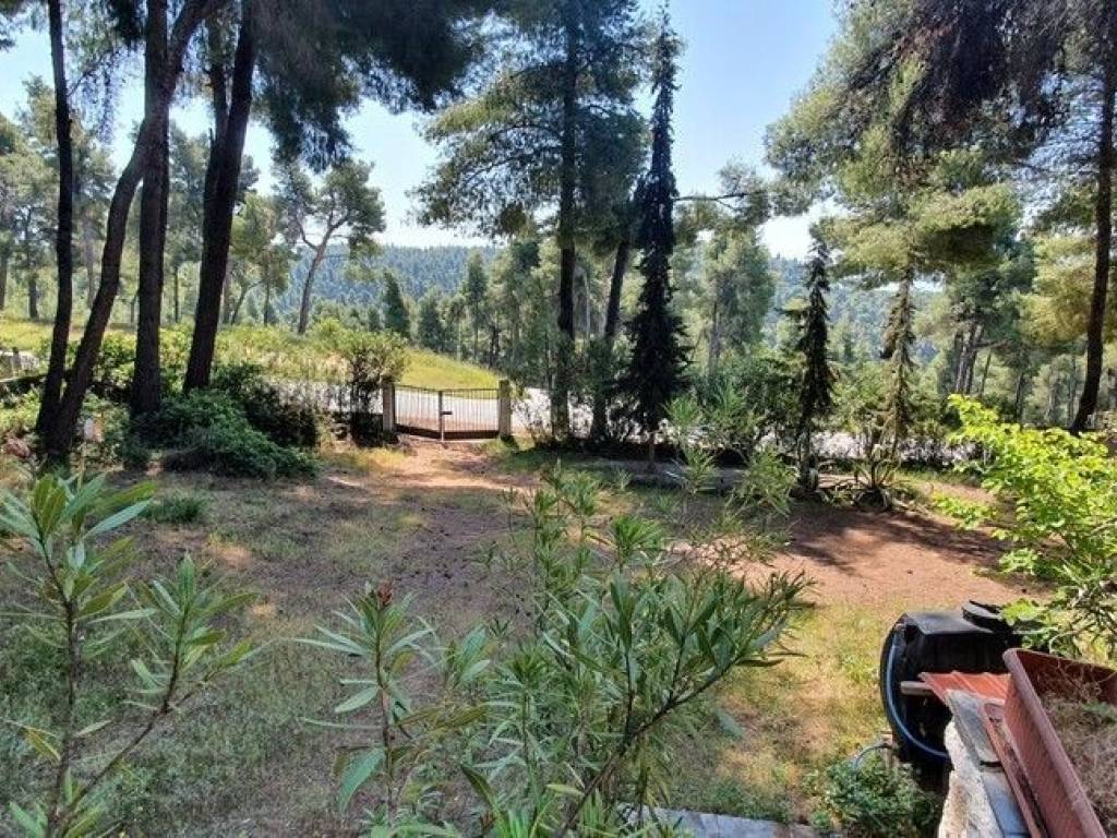 Villa - Grekodom 50186|745281