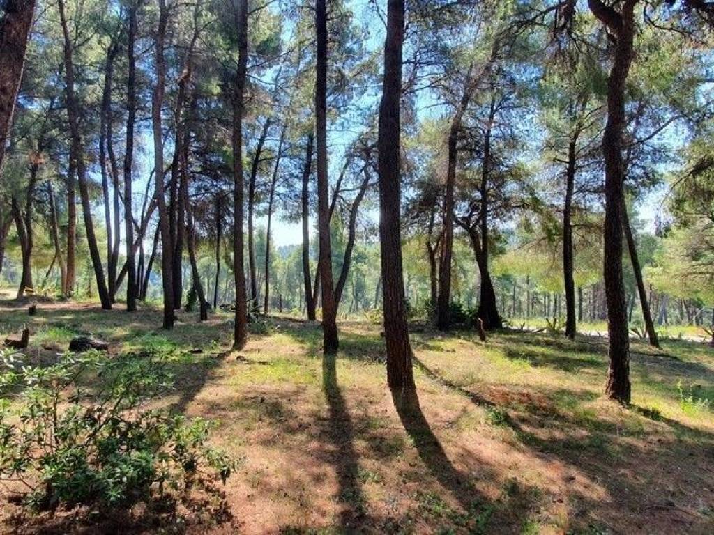 Villa - Grekodom 50186|745282