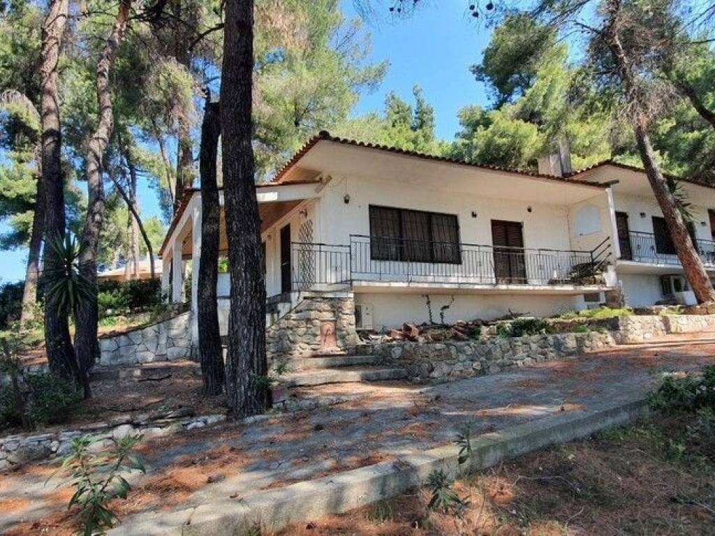 Villa - Grekodom 50186|745285