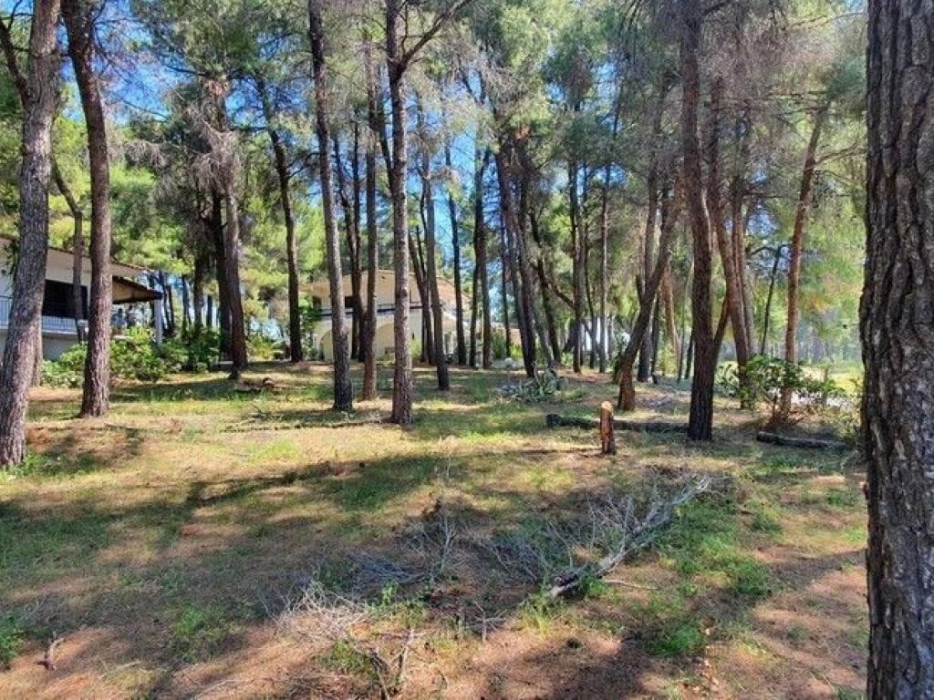 Villa - Grekodom 50186|745286