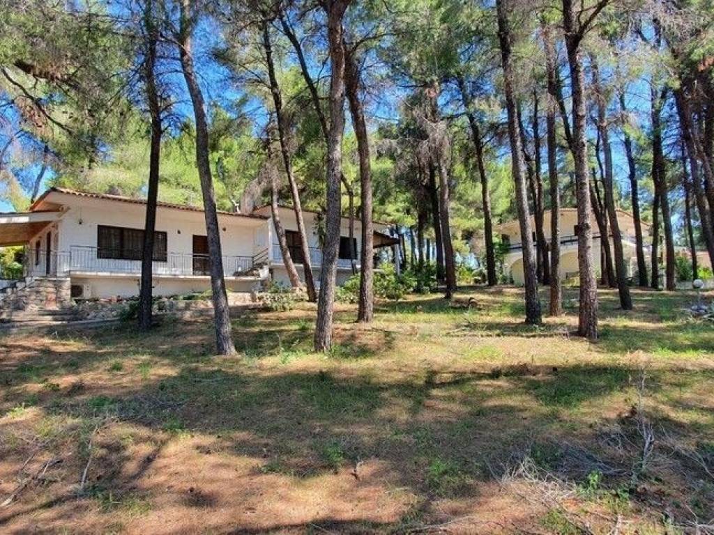 Villa - Grekodom 50186|745292